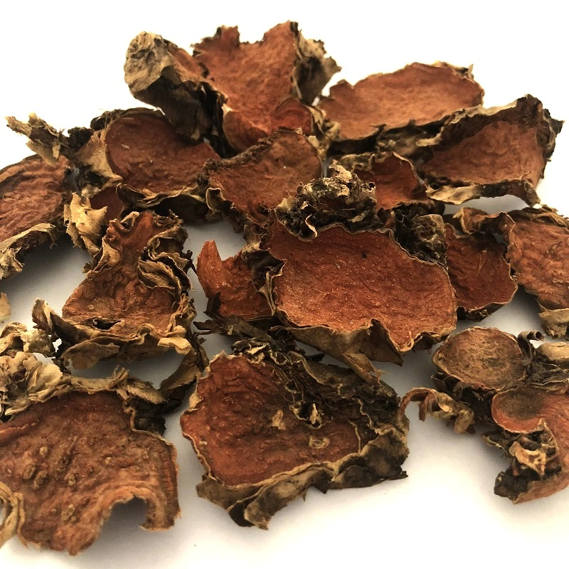 Hong Jing Tian Chinese Herbal Medicine Dried Herbs Rhodiola Rosea Root