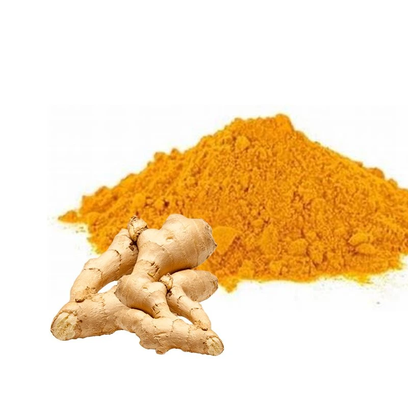 Factory Supply Curcuma Longa Turmeric Powder Superfood Turmeric Extract 10: 1