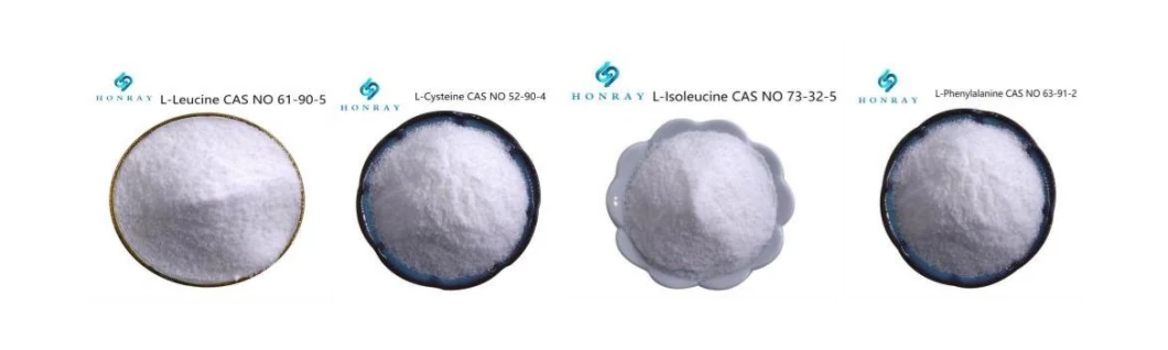 High Quality Enhance Immunity L-Alanine CAS 56-41-7