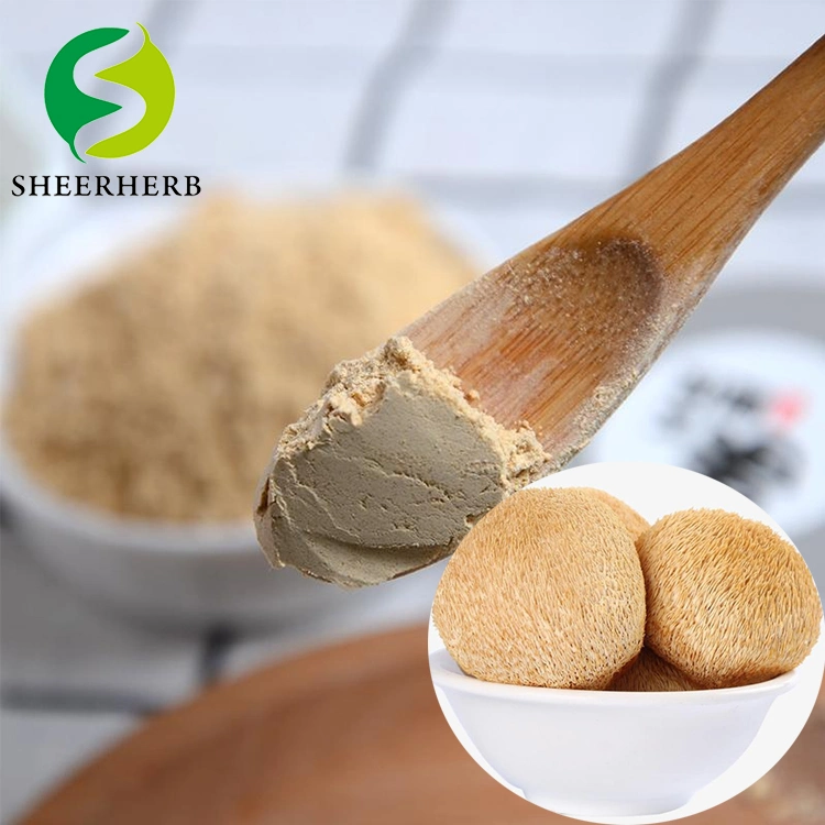 Wholesale Price High-Quality Hot-Selling Hericium Erinaceus Extract Anti-Cancer and Blood Pressure Lowering Herbal Medicine