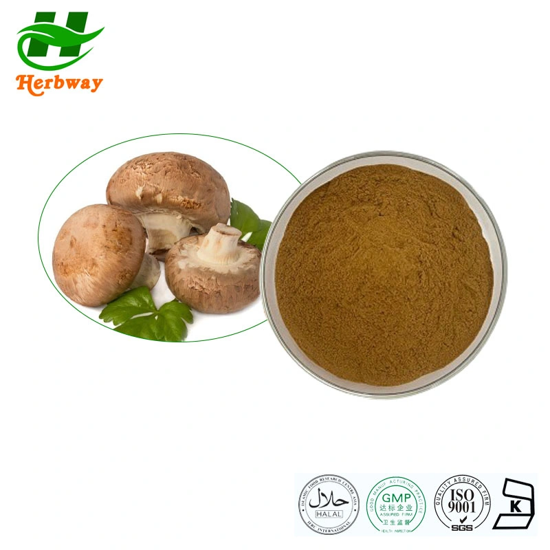 Herbway Wholesale Price Polysaccharide Enhance Immunity Shiitake Mushroom Extract Powder